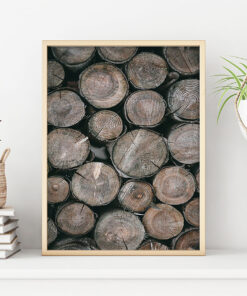 TIMMERSTOCKAR poster i 5 pack. (Lager)