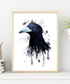 FÅGEL-KRÅKAN poster i 5 pack. (Lager)