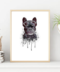 HUND MED GOGGLES poster i 5 pack. (Lager)