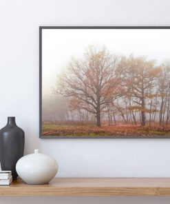 HÖST TRÄD poster i 5 pack. (Lager)