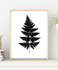 ORMBUNKSBLAD svart poster i 5 pack. (Lager)