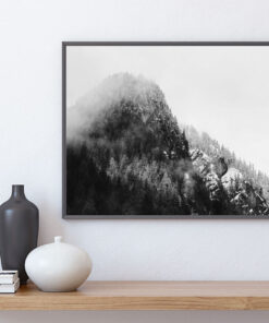 SKOG & KLIPPOR I DIMMA poster i 5 pack. (Lager)
