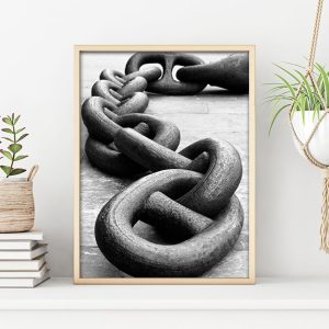 KÄTTING poster i 5 pack. (Lager)