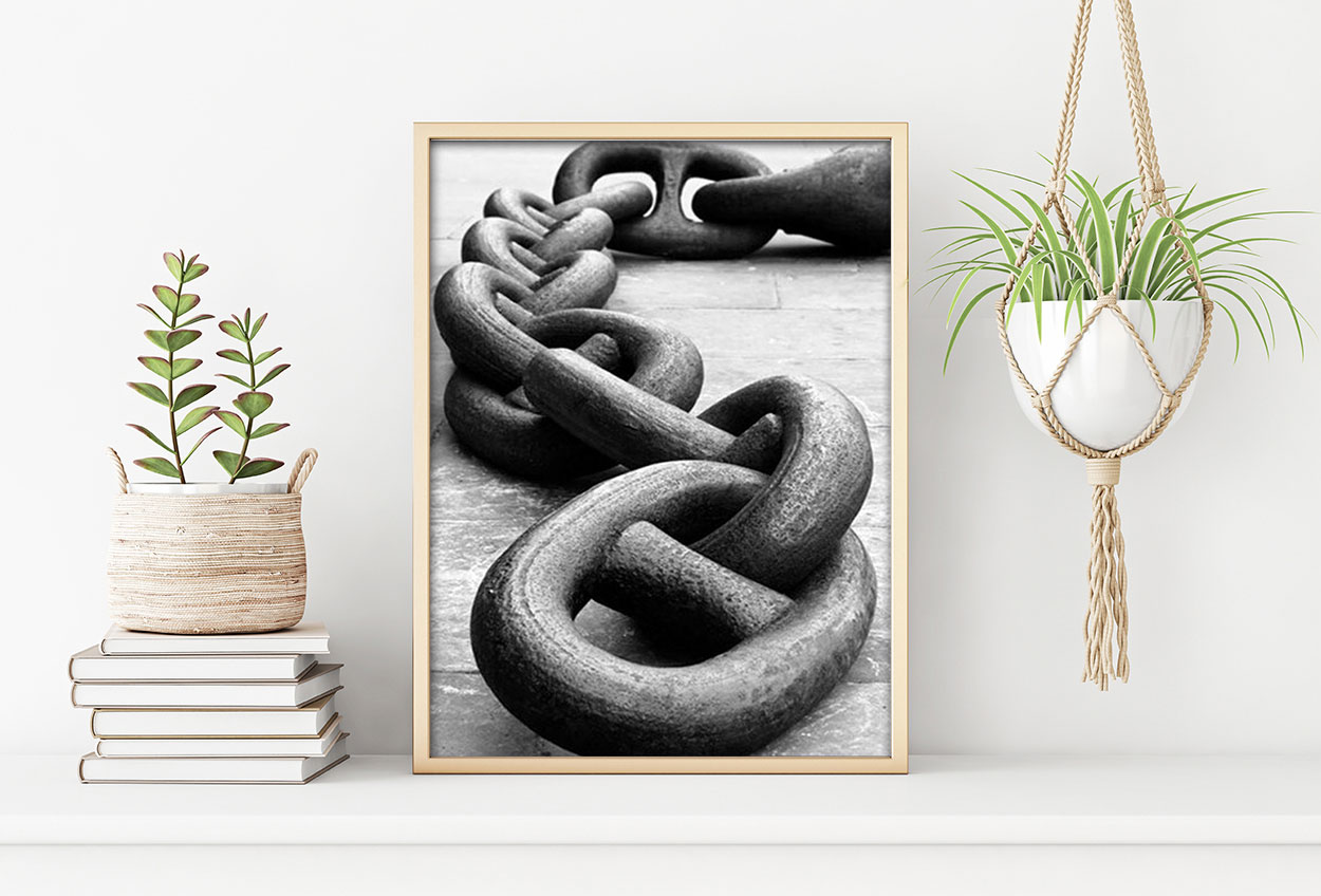 KÄTTING poster i 5 pack. (Lager)