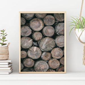 TIMMERSTOCKAR poster i 5 pack. (Lager)