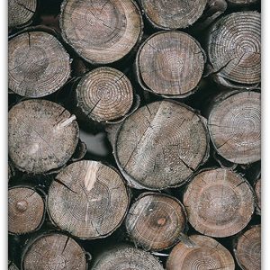 Alternative view of TIMMERSTOCKAR poster i 5 pack. (Lager)