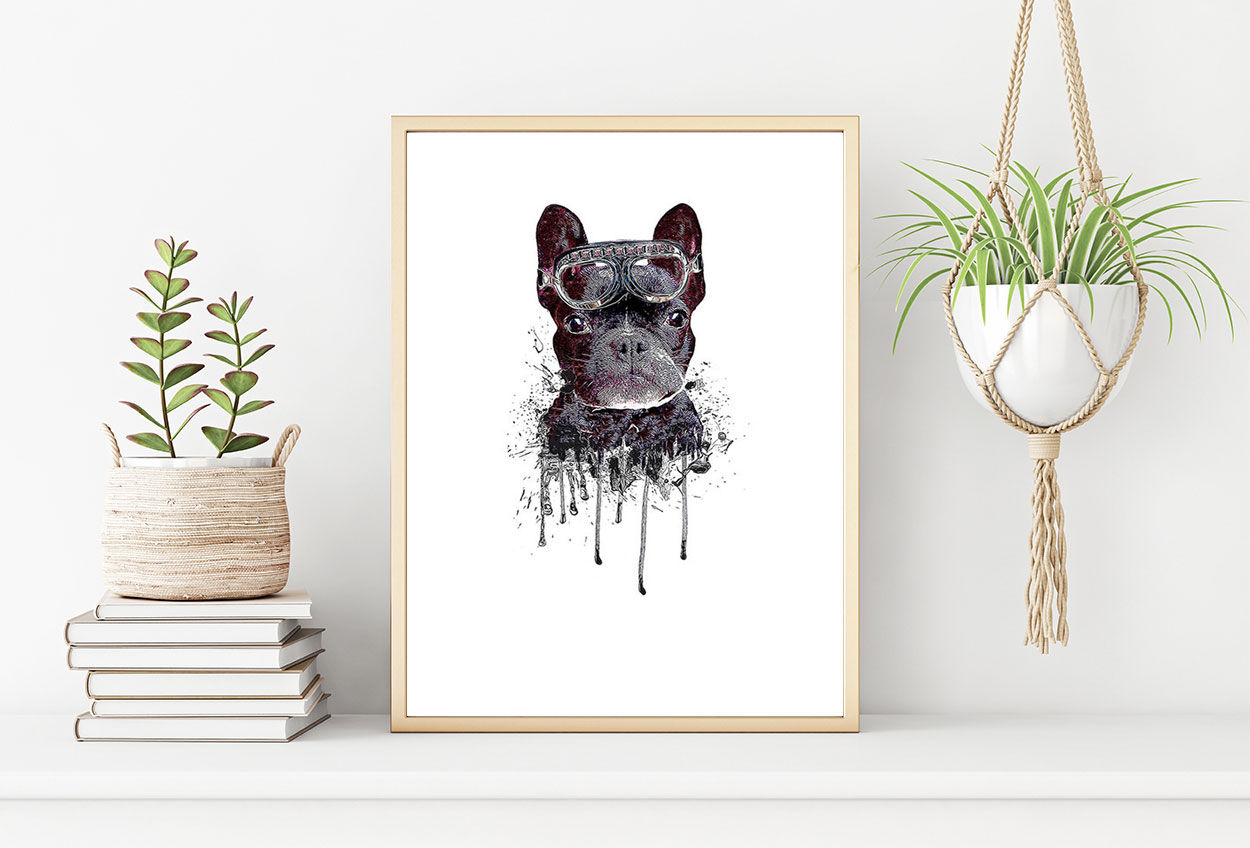 HUND MED GOGGLES poster i 5 pack. (Lager)