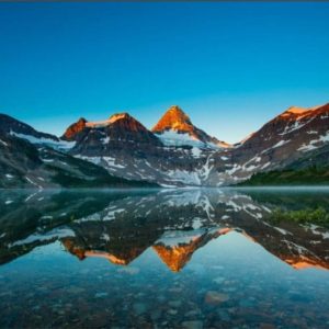 Alternative view of NATURFOTO poster i 5 pack. (Lager)