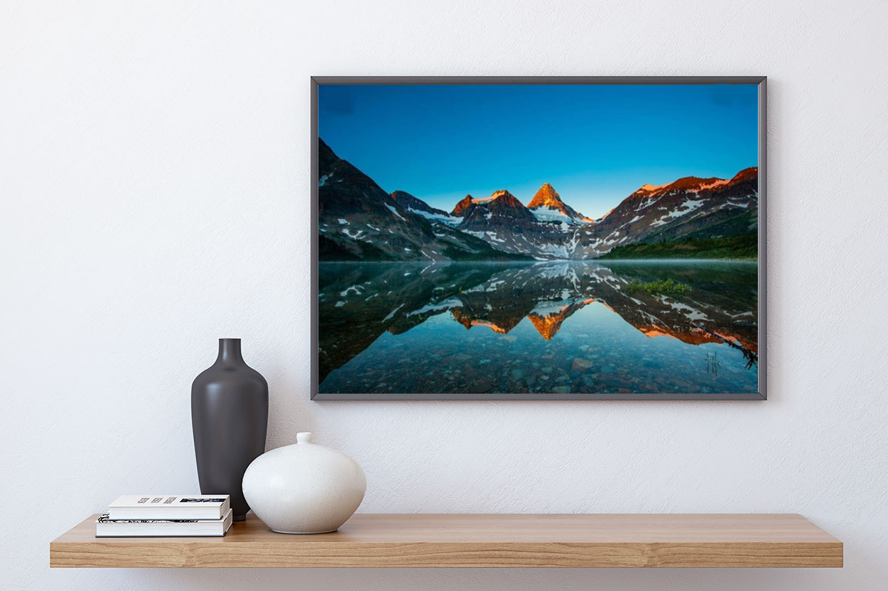 NATURFOTO poster i 5 pack. (Lager)