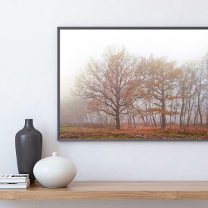 HÖST TRÄD poster i 5 pack. (Lager)