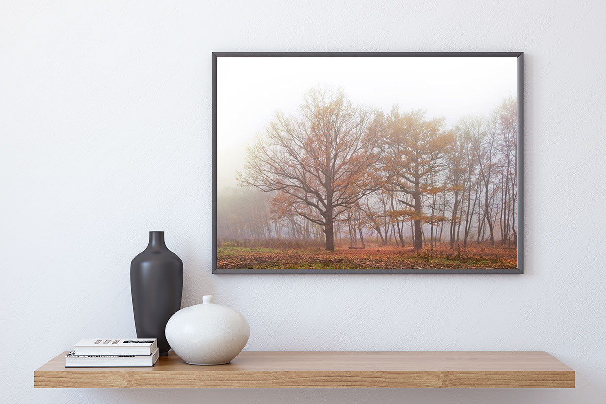 HÖST TRÄD poster i 5 pack. (Lager)