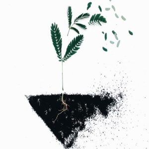 Alternative view of PLANTA MED JORD poster i 5 pack. (Lager)
