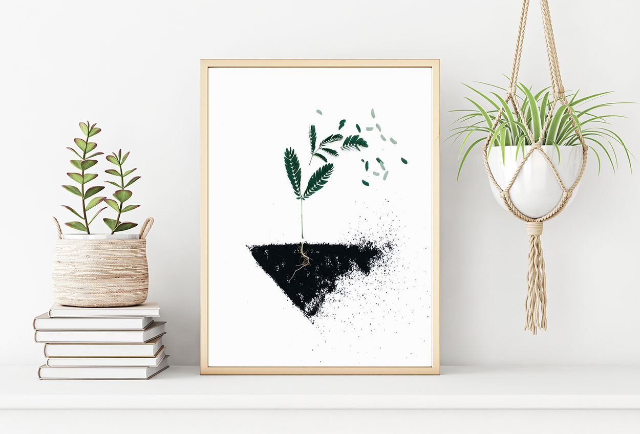 PLANTA MED JORD poster i 5 pack. (Lager)