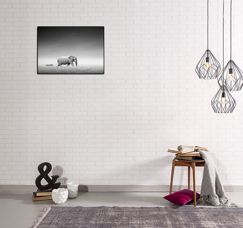 ELEFANT & ZEBRA poster i 5 pack. (Lager) - Bild 2