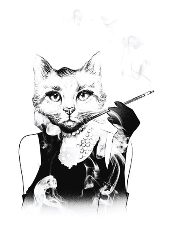 KATT ILLUSTRATION poster i 5 pack. (Lager) - Bild 2