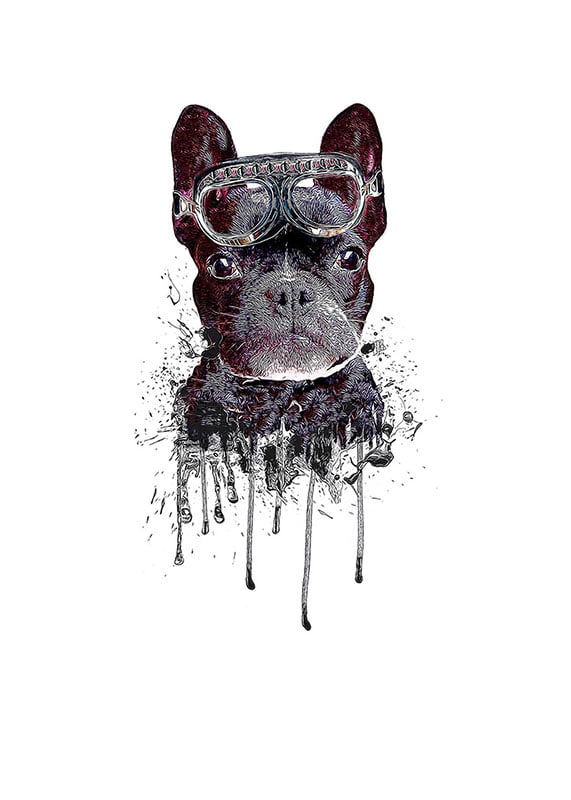 HUND MED GOGGLES poster i 5 pack. (Lager) - Bild 2